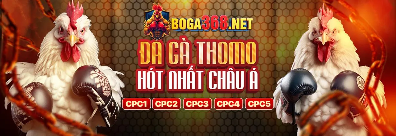 Hình ảnh chính về BK8 Đăng Ký