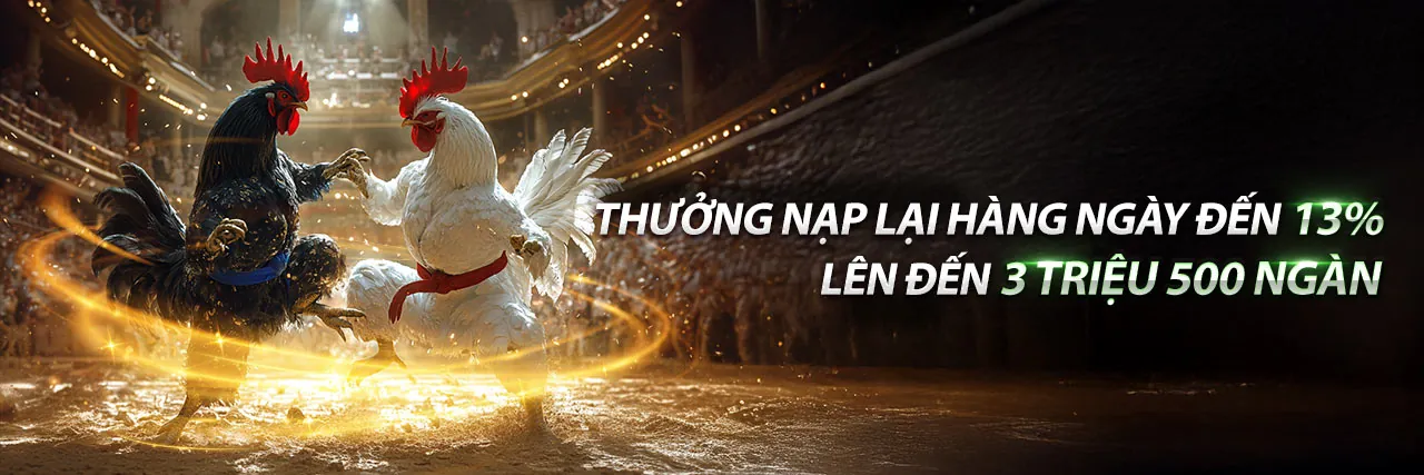 Sòng bạc trực tuyến BK8 với các trò chơi hấp dẫn và ưu đãi lớn