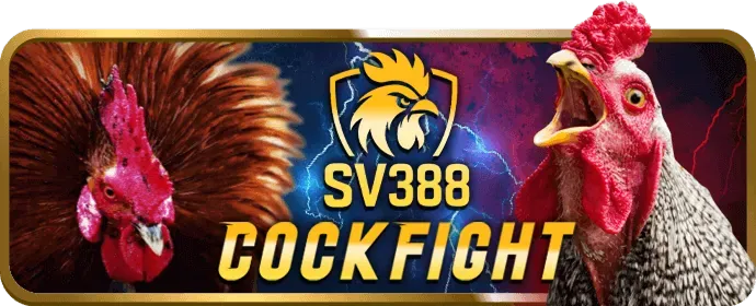 Hình ảnh sòng bài casino trực tuyến BK8